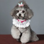 Lace Collar for dog/cat  -  Opawz